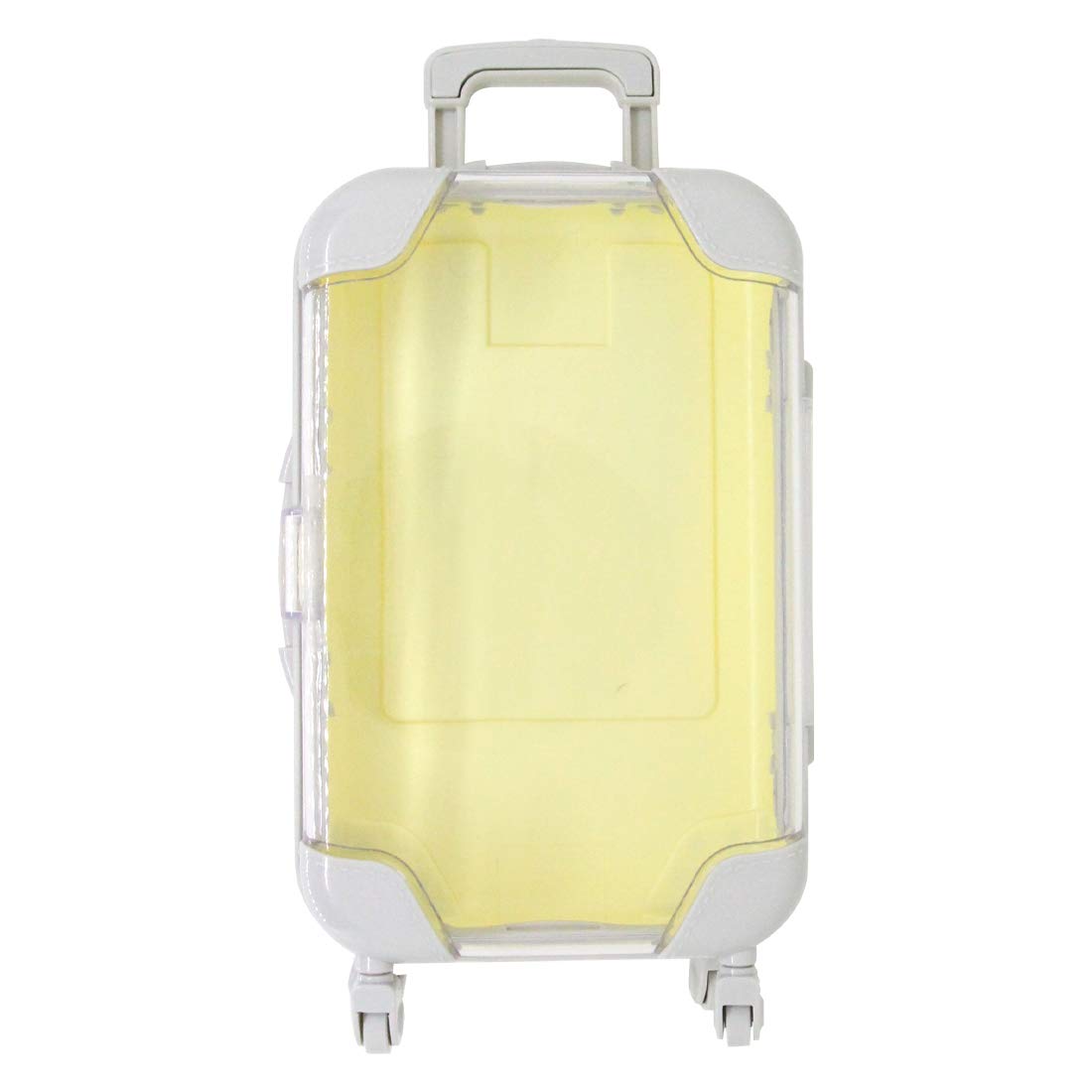 Colorful Mini Suitcase Travel Case