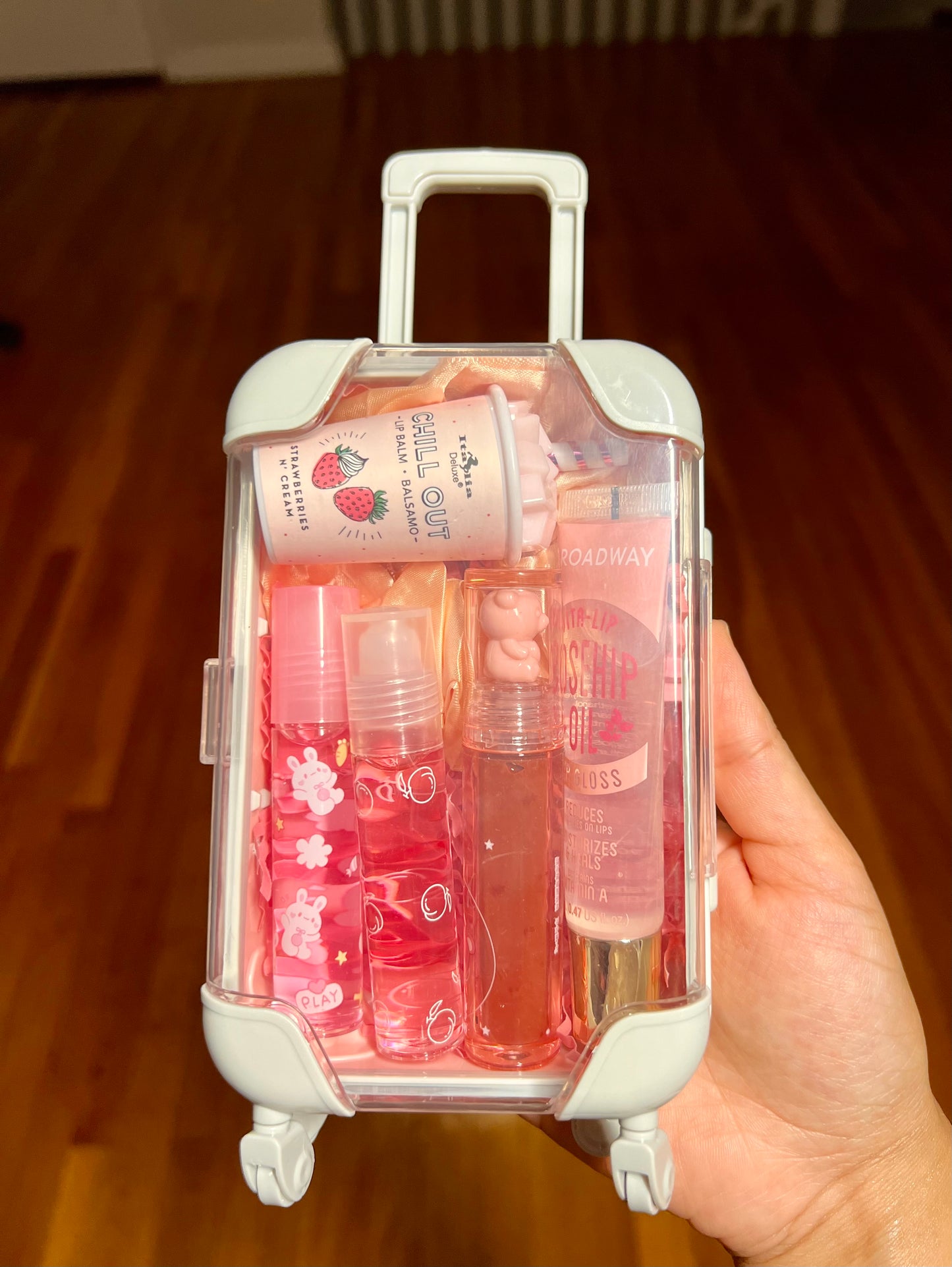 Mini Suitcase Lipgloss Bundle